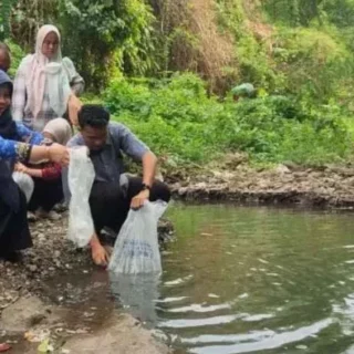 Cegah Dominasi Ikan Sapu-Sapu, DKPPP Kota Cirebon Tebar Benih Ikan