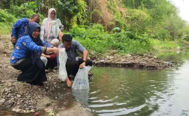 Cegah Dominasi Ikan Sapu-Sapu, DKPPP Kota Cirebon Tebar Benih Ikan