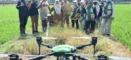 Inovasi Pertanian, Drone Mulai Digunakan di Lahan Sawah Kota Cirebon