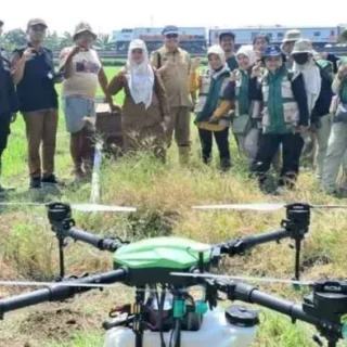 Inovasi Pertanian, Drone Mulai Digunakan di Lahan Sawah Kota Cirebon
