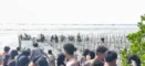 Rayakan Kelulusan, Siswa SMAN 6 Cirebon Tanam Ratusan Mangrove