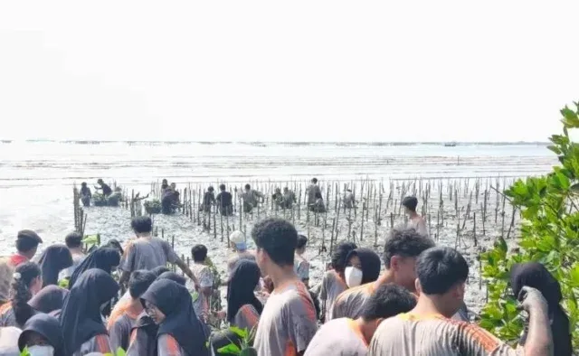 Rayakan Kelulusan, Siswa SMAN 6 Cirebon Tanam Ratusan Mangrove